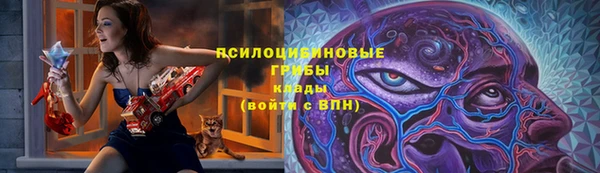 скорость Лагань